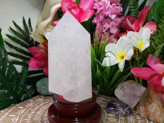 Clear Quartz Crystal 1006 gms (GEM17)