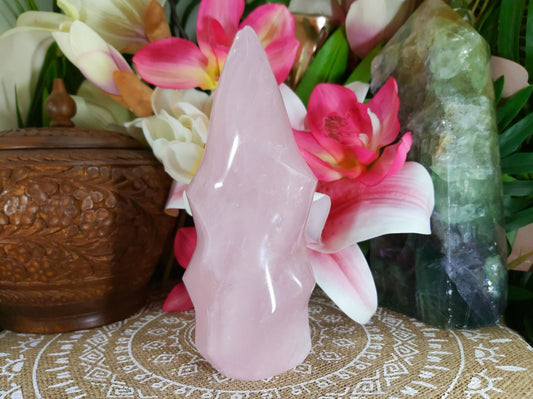 Rose Quartz Crystal 767 gms (GEM53)