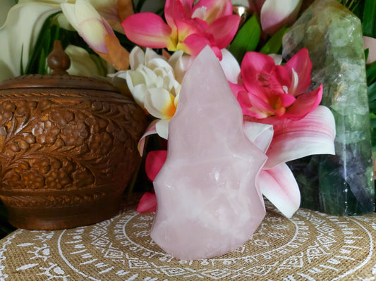 Rose Quartz Crystal 866 gms (GEM55)